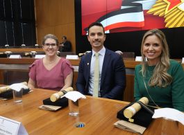 PRESIDENTE E ASSOCIADOS(AS) DA AMATRA-2 RECEBEM COMENDA DA ORDEM DO MÉRITO JUDICIÁRIO DO TRABALHO DA 2ª REGIÃO